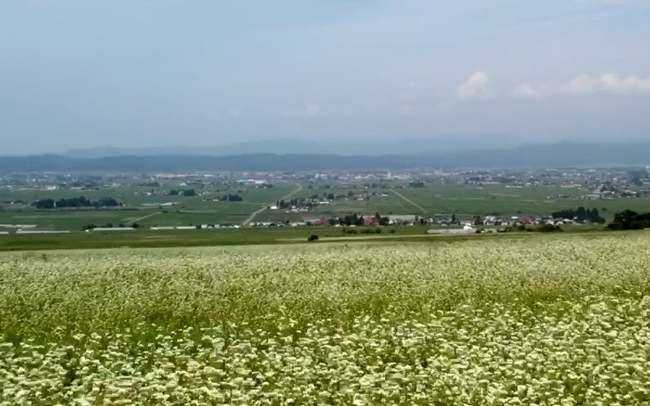 定点観測|荒川産業